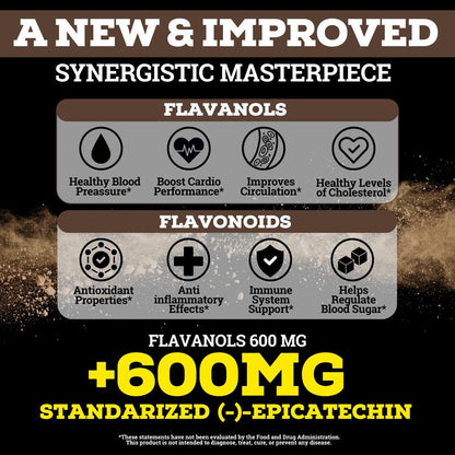 High-Flavanol Cocoa Powder for Daily Energy and Performance Support