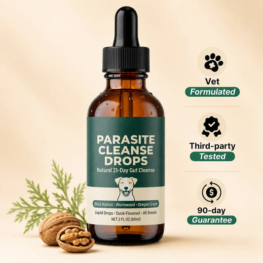 Herbal Gut Cleanse Drops for Dogs – Digestive & Daily Wellness Support
