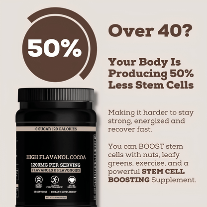High-Flavanol Cocoa Powder for Daily Energy and Performance Support